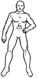[Burly Male Outline]
